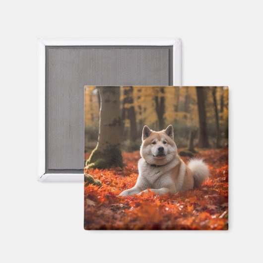 Akita in herfst laat Herfst geïnspireerd Magneet (Voorkant / Achterkant)