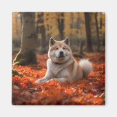 Akita in herfst laat Herfst geïnspireerd Magneet (Voorkant)