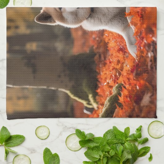 Akita in herfst laat Herfst geïnspireerd Theedoek (Gevouwen)