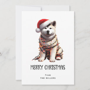 Akita in kerstlichtjes verpakt Prettig kerstfeest  Feestdagenkaart