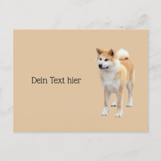 Akita Inu   Briefkaart