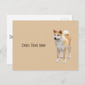 Akita Inu   Briefkaart (Voorkant / Achterkant)