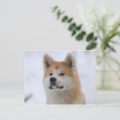 Akita Inu Dog ziet er serieus uit Briefkaart (Staand voorkant)