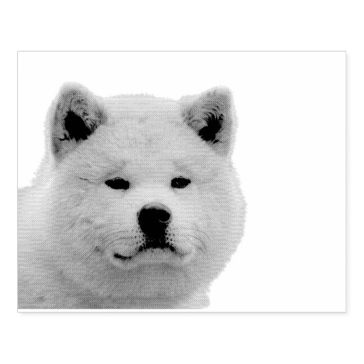 Akita Inu Rubberstempel (Afrduk)