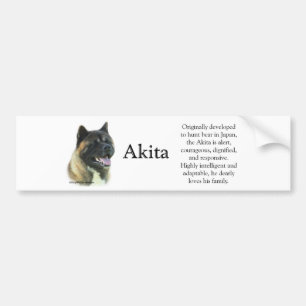 Akita Inu Trivia Bumpersticker