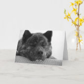 Akita Kaart (Gele Bloem)