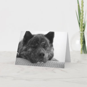 Akita Kaart