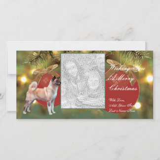 Akita kerstkaart met foto
