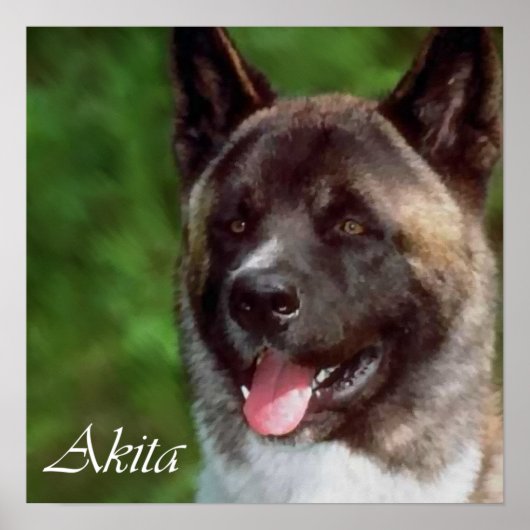 Akita-kunstprintcadeaus Poster (Voorkant)