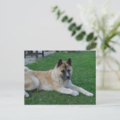 akita leg.png briefkaart (Staand voorkant)