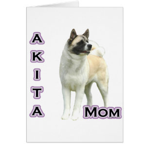 Akita Moeder 4