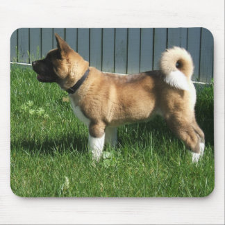 Akita mousepad muismat
