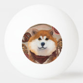 AKITA        PINGPONGBAL (Voorkant)