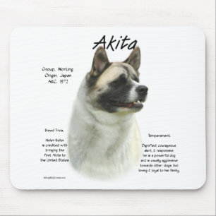 Akita (pinto) Geschiedenis Design Muismat