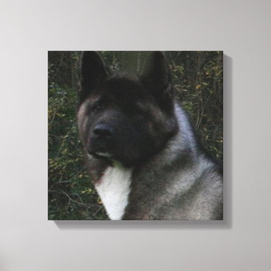 akita pinto zwart masker canvas afdruk (Voorkant)