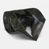 akita pinto zwart masker stropdas (Opgerold)