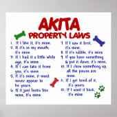 AKITA PL2 POSTER (Voorkant)