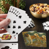 Akita Pokerkaarten (Insitu)