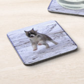 Akita Pup Onderzetter (Linkerzijde)