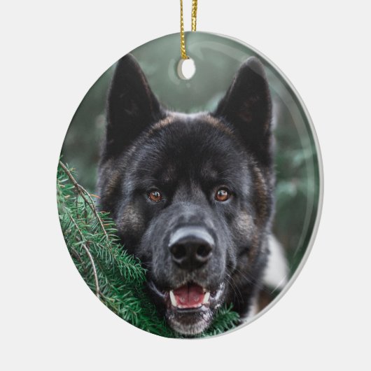 Akita Puppy Dog in A Pine Forest Kerstmis Keramisch Ornament (Links)