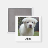 Akita Puppy Magnet (Voorkant / Achterkant)