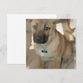 Akita Puppy Uitnodiging (Voorkant / Achterkant)