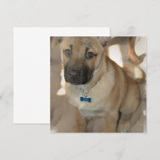 Akita Puppy Uitnodiging (Voorkant / Achterkant)