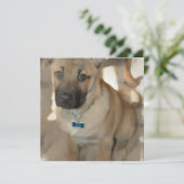 Akita Puppy Uitnodiging (Staand voorkant)