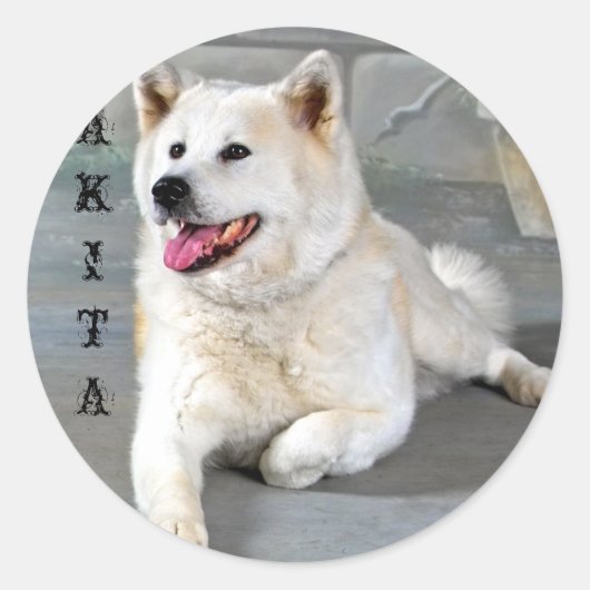 Akita Ronde Sticker (Voorkant)