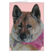 akita roze sjaal usa vlag label hond portret blanc (Voorkant)