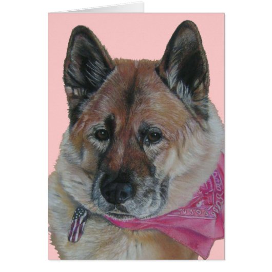 akita roze sjaal usa vlag label hond portret blanc (Voorkant)
