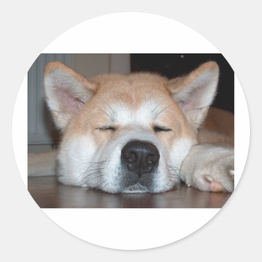 akita slaappng ronde sticker (Voorkant)