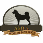 Akita Staand Fotobeeldje<br><div class="desc">De Amerikaanse Akita wordt in veel landen over de hele wereld beschouwd als een afzonderlijk ras van de Akita Inu (Japanse Akita), met de opmerkelijke uitzonderingen van de Verenigde Staten en Canada. In de VS en Canada worden zowel de American Akita als de Akita Inu beschouwd als één enkel ras...</div>