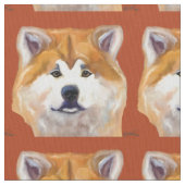 AKITA STOF (Close Up)