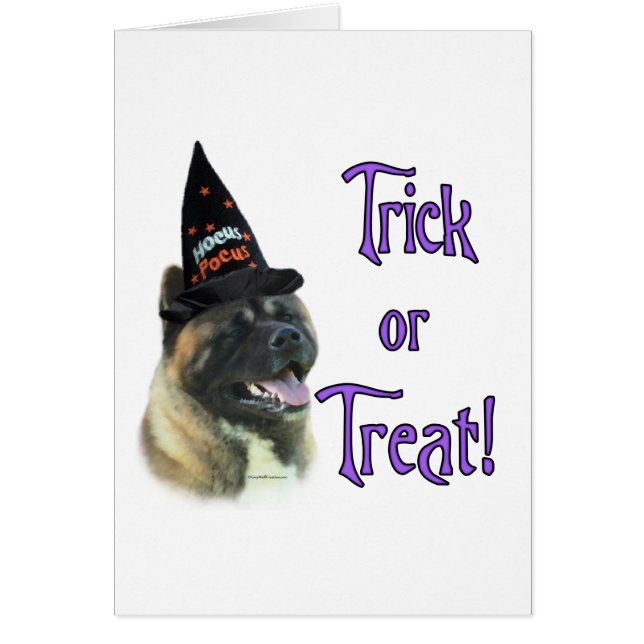 Akita Trick (Voorkant)