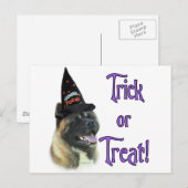 Akita Trick Briefkaart (Voorkant / Achterkant)