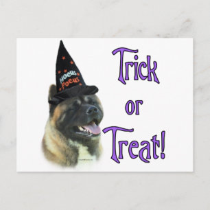 Akita Trick Briefkaart