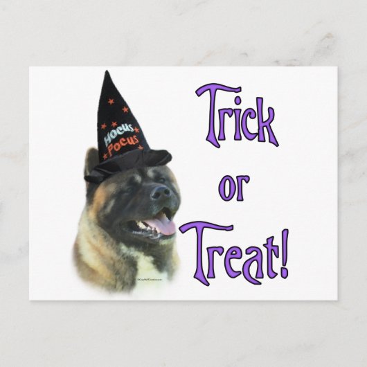 Akita Trick Briefkaart (Voorkant)