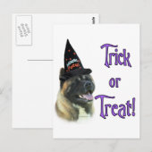 Akita Trick Briefkaart (Voorkant / Achterkant)