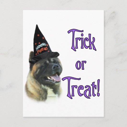 Akita Trick Briefkaart (Voorkant)