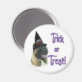 Akita Trick Magneet (Voorkant / Achterkant)