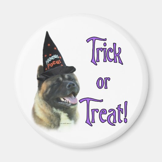 Akita Trick Magneet (Voorkant)