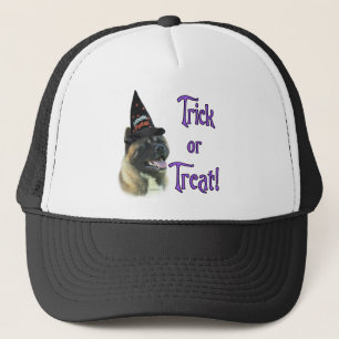 Akita Trick Trucker Pet