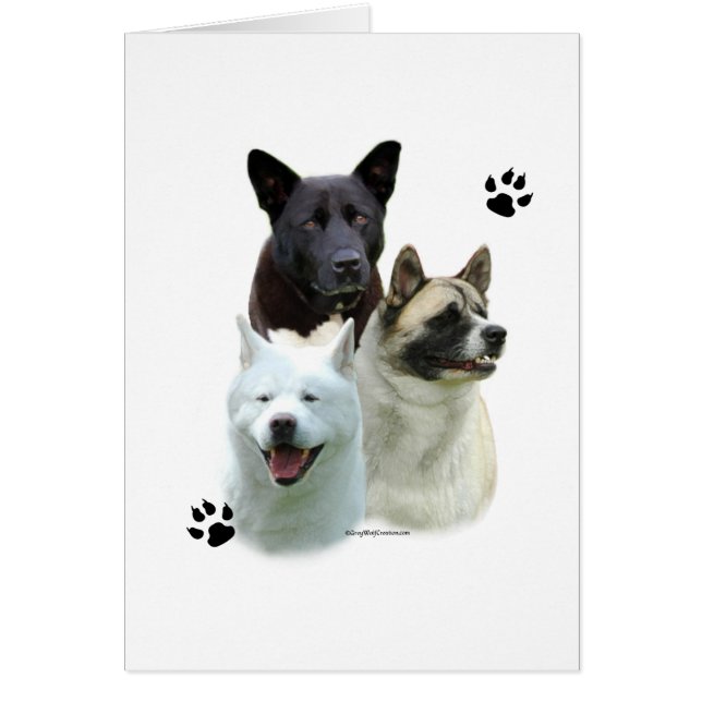 Akita Trio (Voorkant)