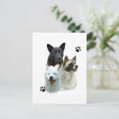 Akita Trio Briefkaart (Staand voorkant)