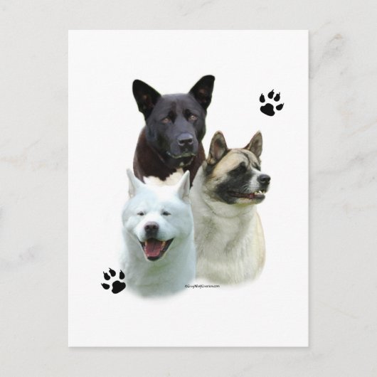 Akita Trio Briefkaart (Voorkant)