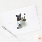 Akita Trio - Sticker (Envelop)