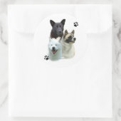 Akita Trio - Sticker (Tas)