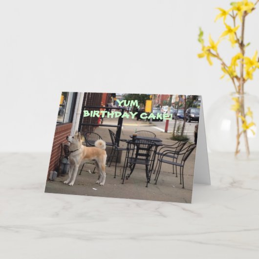 AKITA WENST "UW SISTER" EEN FUN/HAPPY BIRTHDAY KAART (Gele Bloem)