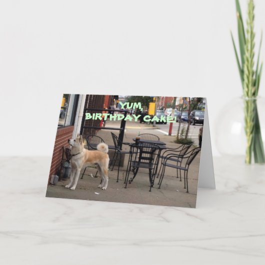 AKITA WENST "UW SISTER" EEN FUN/HAPPY BIRTHDAY KAART (Voorkant)